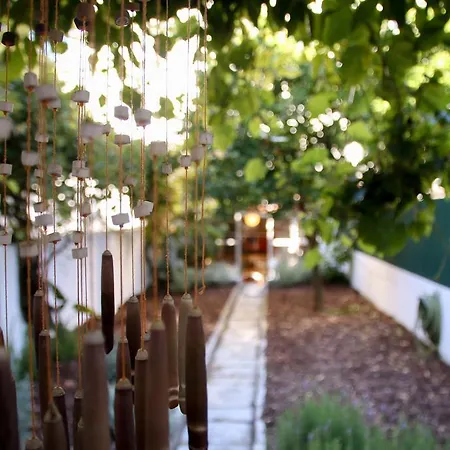 Apartamento The Olive Tree House
